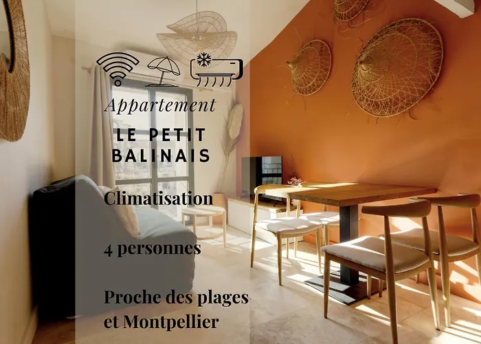 Le Petit Balinais - Standing - Wifi