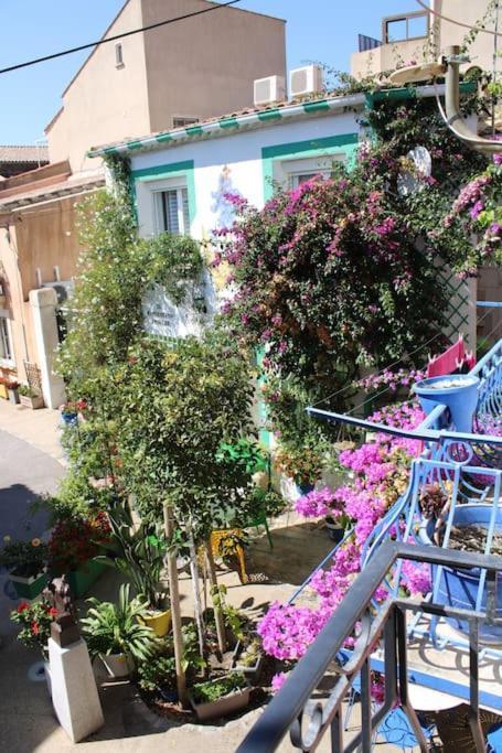Le Petit Balinais - Standing - Wifi